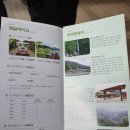 모래불 펜션 | [정선] 아우라지역, 펜션 및 식당추천, 레일바이크, 벅스랜드 후기