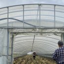 용성농약사 이미지