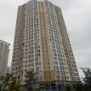 선수촌로 56 이미지