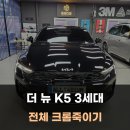 팀카스킨 | 천안 랩핑 크롬죽이기 전체 시공을 잘하는 랩핑샵