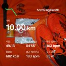 (주)서울아이씨 | 20260315 서울마라톤 겸 동아마라톤 후기 (색깔논쟁)