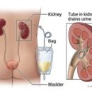 드림온비뇨의학과의원 이미지