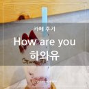 하와유커피