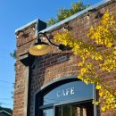 MARIN카 | 샌프란시스코 일주일 여행 코스: 4일차-1 소살리토 이퀘이터커피+소살리토 당일치기 코스 추천