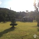 그린티하우스 이미지