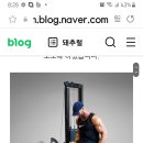 헬스 다리운동 효과있나요? 이미지