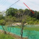 원삼우체국 이미지