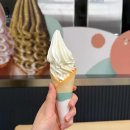 분당백현-D-1 이미지