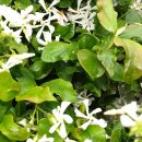 비룡농장 이미지