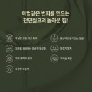 오구오구 펫살롱 이미지
