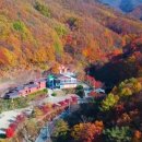 요가&기체조 | 공립 민주지산 자연휴양림 (충청북도)