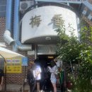 매향길 | 공주 메밀 막국수 맛집 매향 주말 오픈런 웨이팅 후기