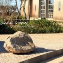 농원황토가든 이미지