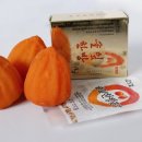 솔잎농원