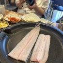 보약장어왕메기 거창점 이미지