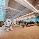 짐에센셜 이미지