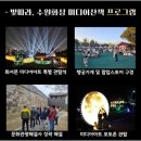 2025 수원화성 미디어아트 이미지