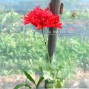 더참맛수육국밥 배방점 이미지