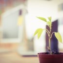 씨스페이스편의점 이미지