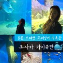 상어 | 오사카 가이유칸 | 오사카 수족관 예매 방법 + 고래상어 실제로 본 후기