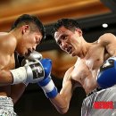 허리케인권투체육관 이미지