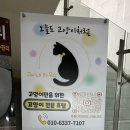 고양이 세수_설렘 네이버블로그