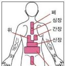 [부황] 2. 부항의 작용 이미지