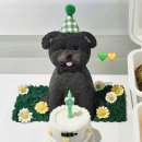 댕스투유 이미지