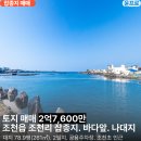 바다앞 티스토리