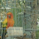 안산 식물원 이미지