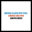 선산현대종합정비 | 벌초대행 산소관리 완벽 가이드 - 산림조합 서비스부터 비용까지 총정리