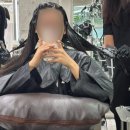 매직라이프 | 역삼역 미용실 방주련 팀장에게 인생 매직 받고 온 후기! 르블라썸 강남점 추천