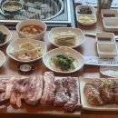 제주산돼지
