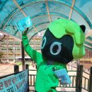 매탄초등학교