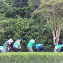 화령장전적비 이미지