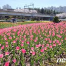 낙동강관리본부 화명생태공원 12 이미지