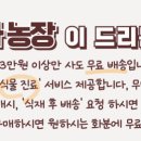 차식농장 네이버블로그