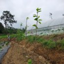 열음농장 이미지