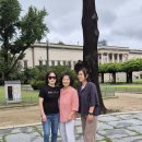 고령중학교 이미지