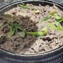 금송아지 이미지