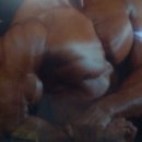 창신신협헬스 이미지