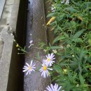 성라공원1 약수터 이미지