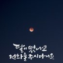 달이 떴다고 전화를 주시다니요 이미지