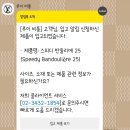 [쇼핑]요즘 구하기힘든 루이비통 스피디 반둘리에25 백화점 구매후기(feat.양품망썰..)