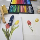 즐거운 색연필화 이미지