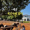 송남목장 네이버블로그