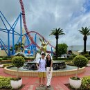 아이비스 하단점 | [GOLDCOAST/워홀+25] 골코 무비월드 당일치기 | 아웃백 스펙타클 디너쇼