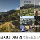 자연지기약초 이미지
