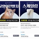 뿌리동물병원 치과센터 이미지