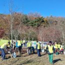 오도미 경관 숲 이미지